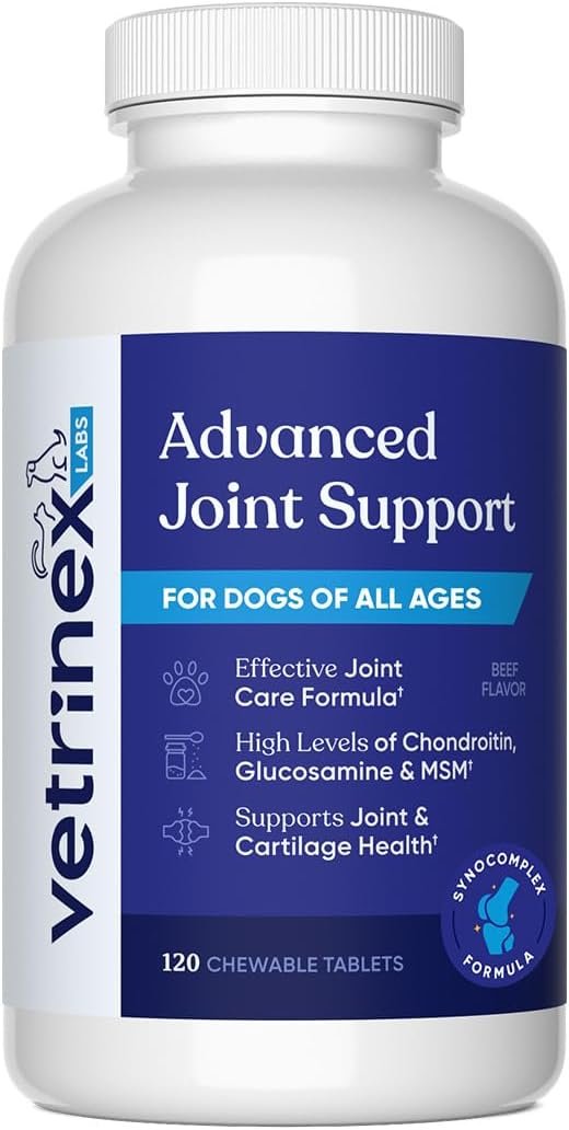 Joint Support Supplement for Large Dogs – Hip and Joint Chewable Tablets for Small, Medium & Large Breed Dogs with Glucosamine, Chondroitin, and MSM, Beef Flavor, 120 Tablets