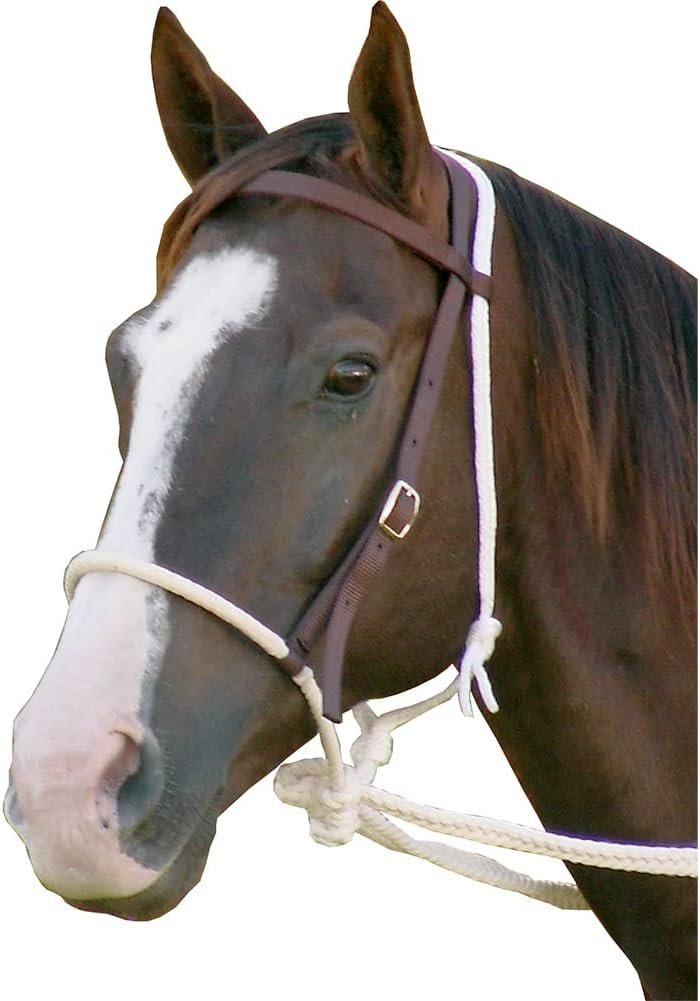 Mustang Breaking Hackamore Bridle for Horse | Durable Horse Bitless Bridle with 7/16″ Rope Noseband, 3/4″ Headstall & Flat Braided Reins