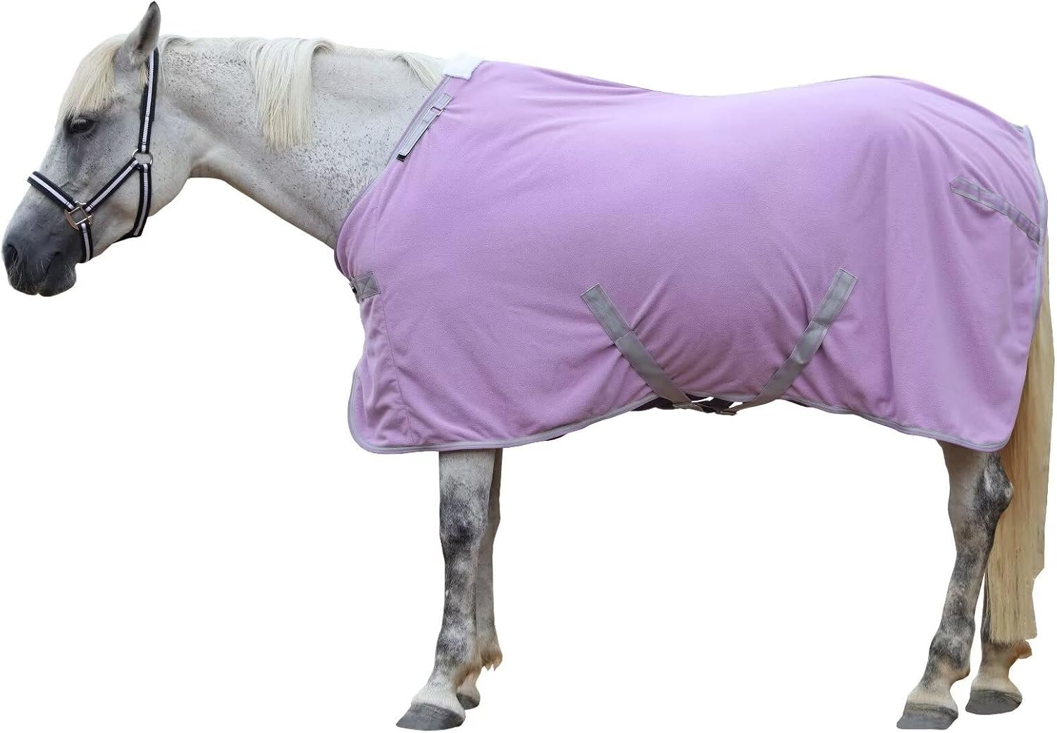 LEAFOREST Horse Fleece Blanket Polar Fleece Cooler Liner Soft Exercise Blankets for Horses Moisture Wicking Sheet in the Barn, Stable, Stall, Pasture, Paddock Purple 78 inches
