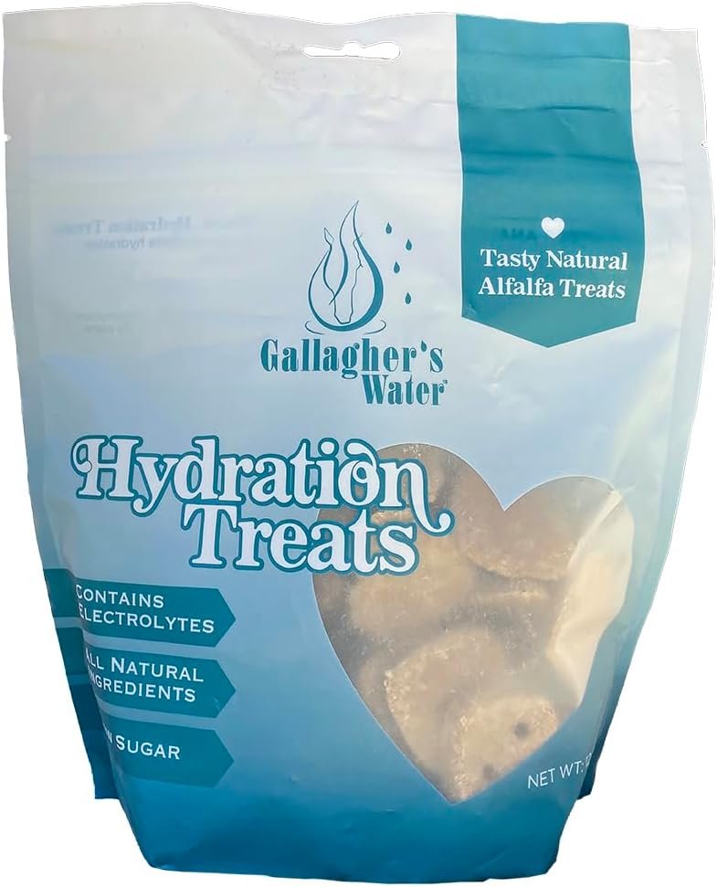 GALLAGHER’S WATER Hydration Treats for Horses. Crunchy Tasty Treats with Electrolytes. 12oz Bag