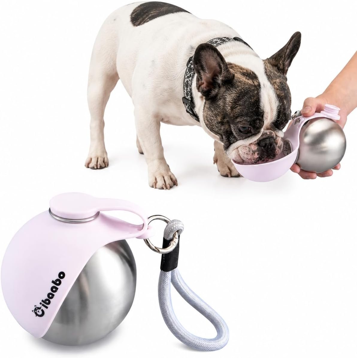 Cibaabo 2 in 1 Portable Dog Water Bottle with Bowl, 10 oz Stainless Steel No-Spill Travel Pet Water Dispenser with Collapsible Silicone Bowl for Small Dog & Puppy Walking Hiking Outdoor