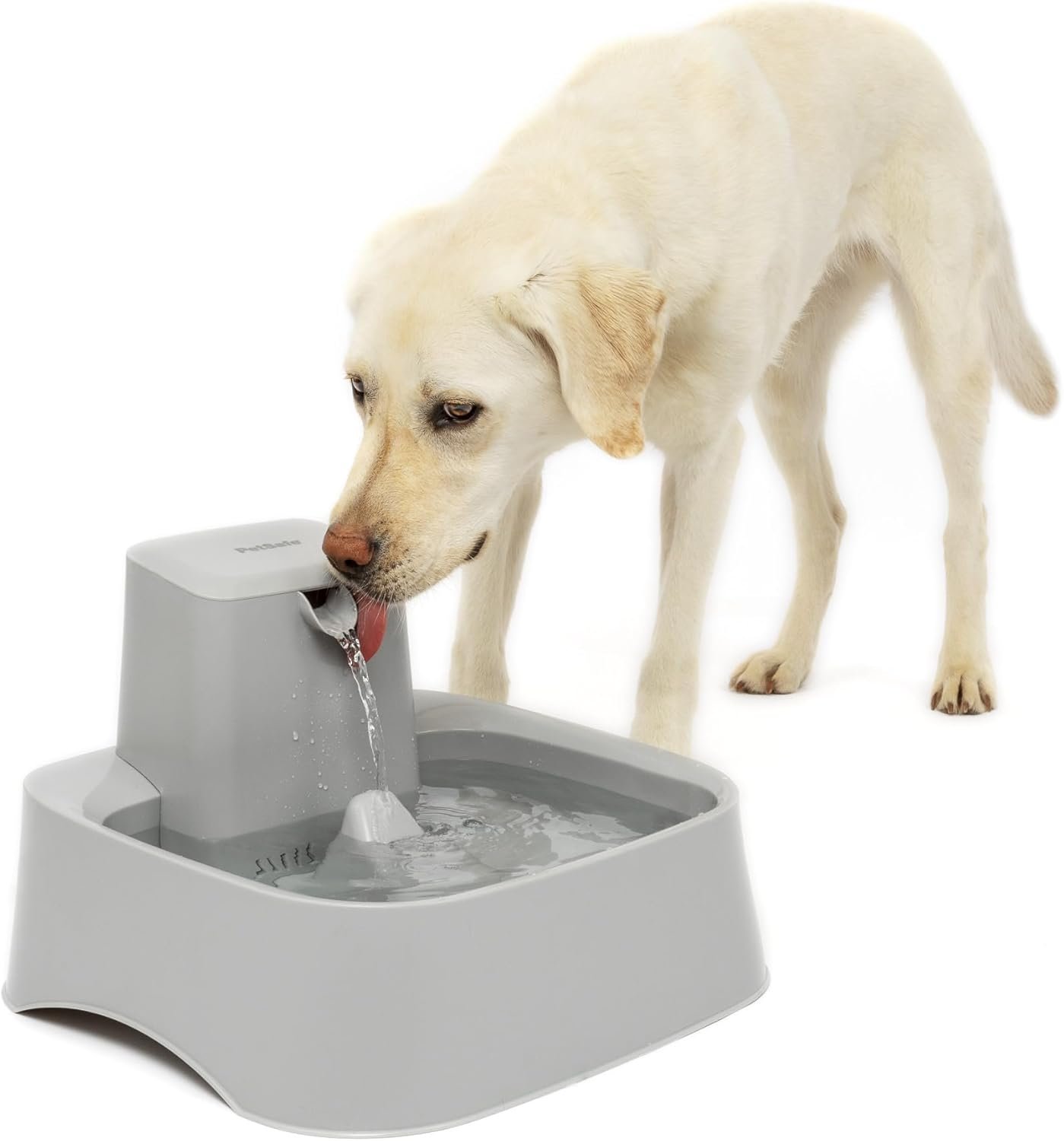 PetSafe Oasys 2 Gallon Pet Fountain for Dogs or Multiple Pets, Automatic Water Bowl Dispenser – Pump and Filter Included – Dishwasher Safe, Easy Clean Pet Dish – 2 Gallon/256 Oz
