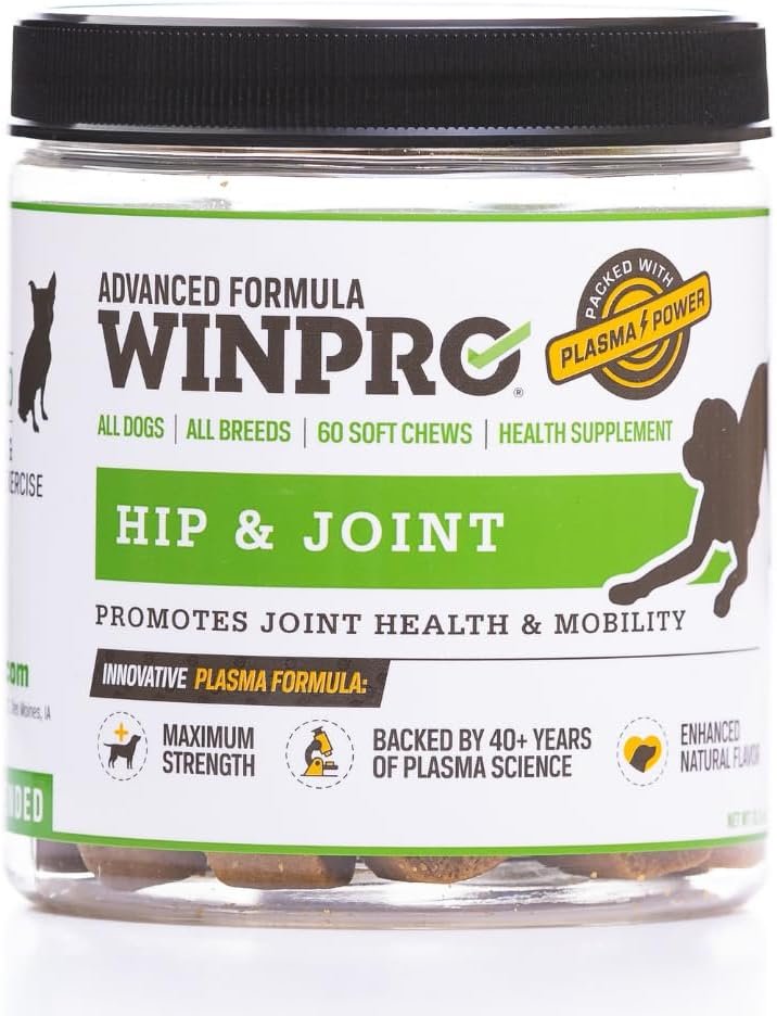 WINPRO Hip & Joint Supplement for Dogs – Plasma Powered Soft Chews for Joint Health & Mobility – Fast-Acting with Collagen & Natural Ingredients for Dogs of All Breeds – 60 Chews