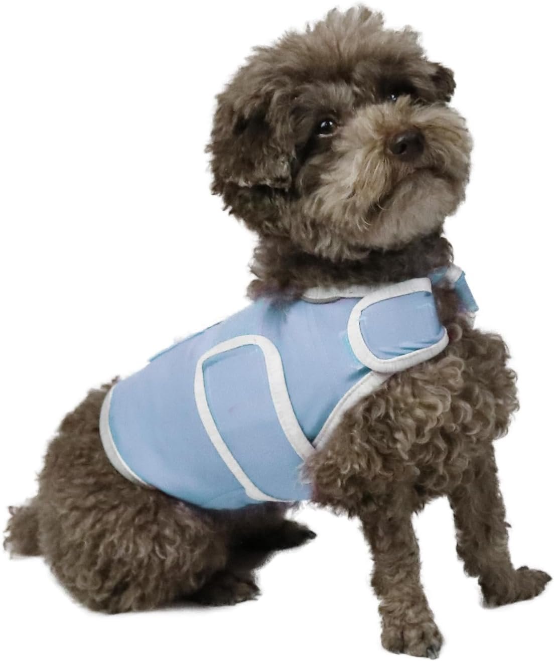 Dog Anxiety Relief Vest – Breathable Calming Coat for Thunderstorms, Travel, Fireworks & Vet Visits (S, Light Blue)