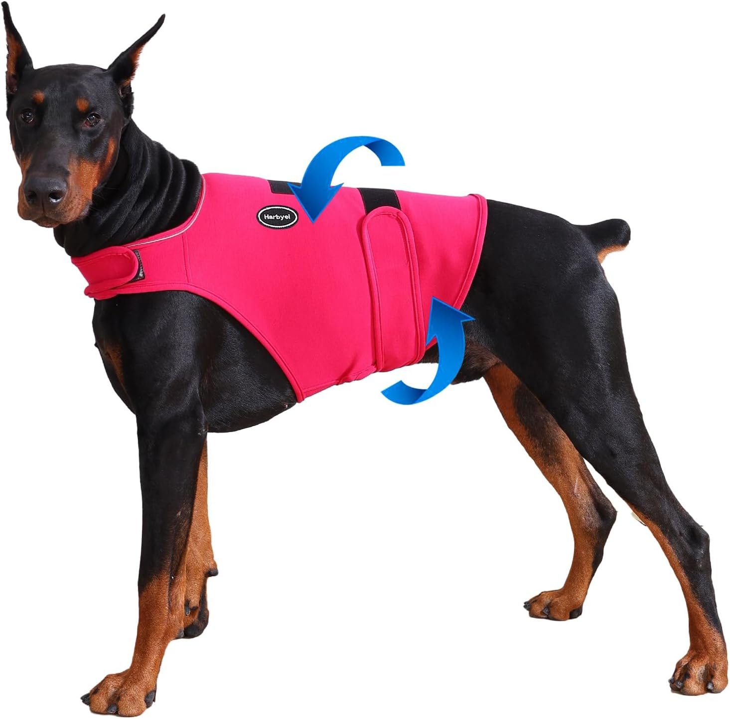 Dog Anxiety Vest – Skin-Friendly Calming Shirt for Thunder, Fireworks, Vet Visits & Separation Anxiety – No Medicine or Training Needed – Suitable for Small, Medium, and Large Dogs