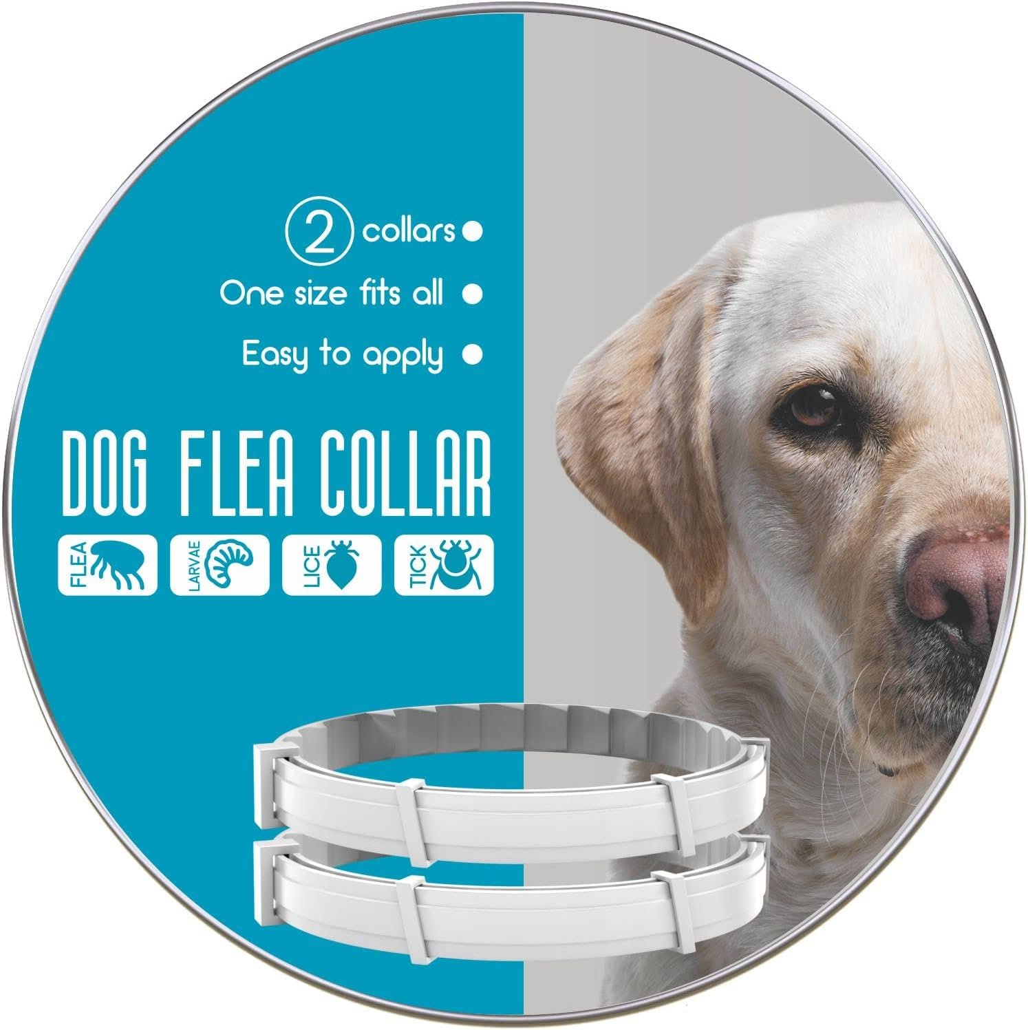 Flea and Tick Prevention for Dogs – Flea Collar – 2 Count – Adjustable