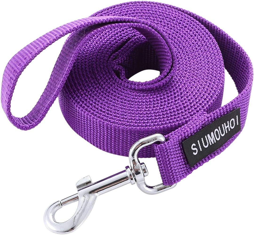Strong Durable Nylon 10ft Long Dog Training Leash, Traction Rope, 1 Inch Wide, for Small and Medium Dog (Purple, 10 Feet)