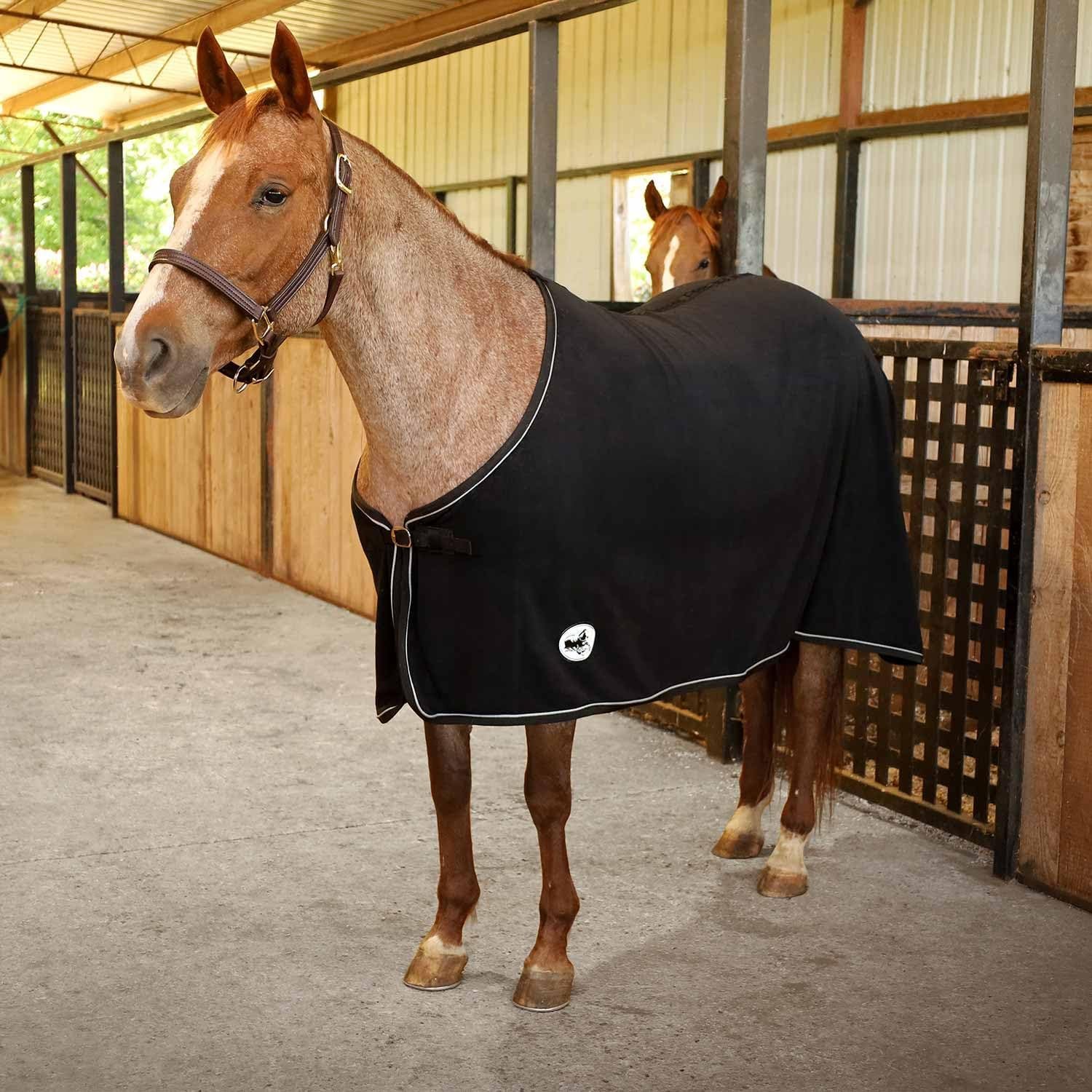 Jeffers Elite Fleece Cooler Blanket for Horses, 78″ – Contoured Moisture Wicking Horse Cooler, Lightweight Breathable Fleece Horse Cover for Layering, Travel, Grooming & All Year Round Use – Black