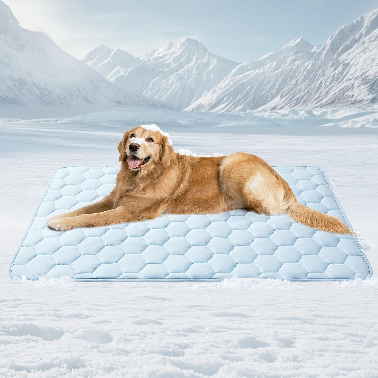 EHEYCIGA Cooling Mat for Dogs, 41″ x 28″(Q-Max>0.53), Washable Dog Cooling Mat, Portable Kennel Cooling Pet Pad for Summer, Non-Slip Summer Crate Pad for Large Dog, Blue