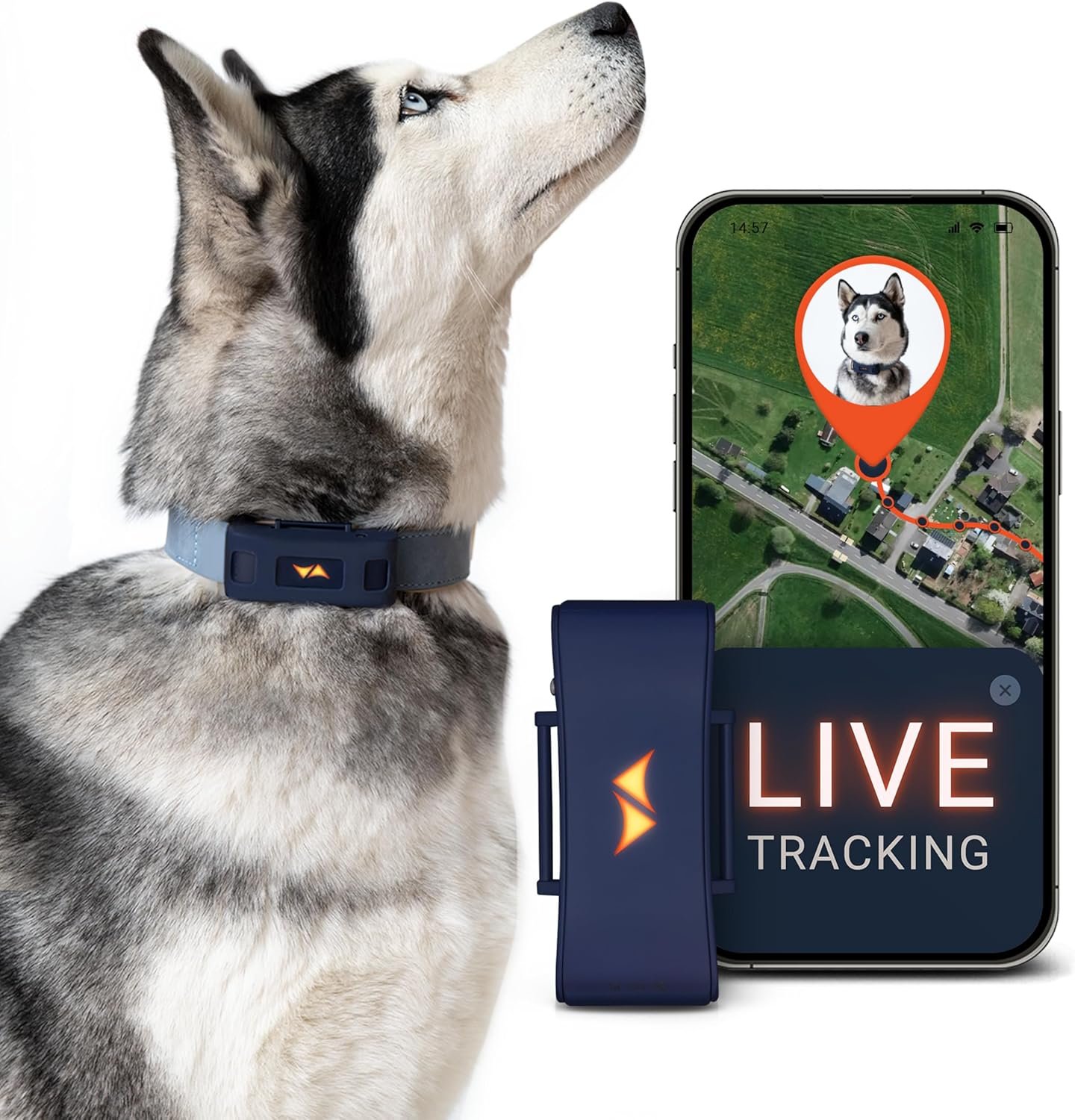 PAJ GPS Tracker for Dogs with 3 Month Subscription Included, 4G Real-Time Dog GPS Tracker with Virtual Fence, Activity & Health Monitor, Up to 10 Days Battery, Fits Any Pet Collar