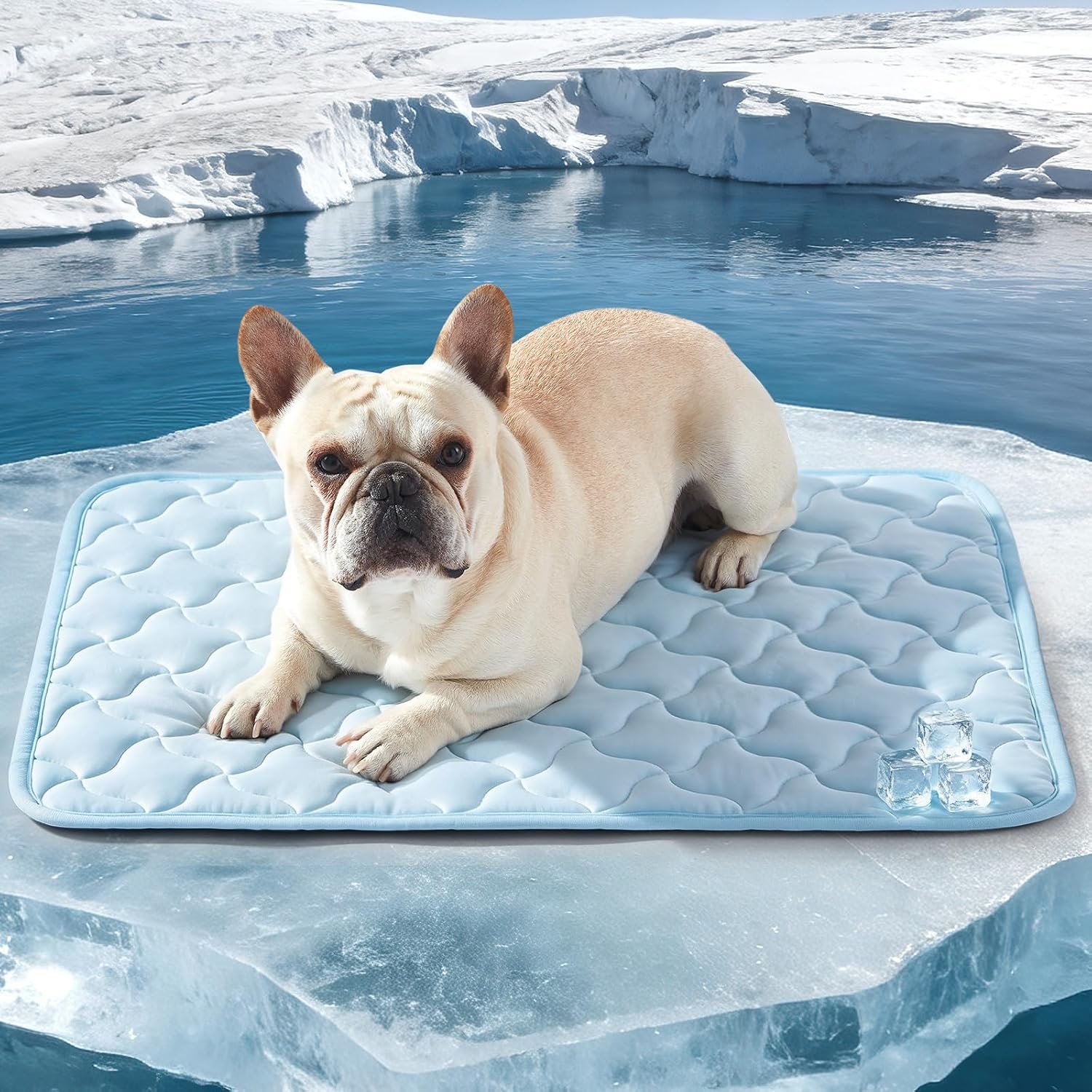 GASUR Cooling Mat for Dogs, Q-Max>0.5 Instant Temp Drop Dog Cooling Mats for Medium Dogs&Cats, Cooling Pad for Dog – Indoor Outdoor Travel Use, Snag Resistant，Machine Washable&Anti-Slip, 28″X22″ Blue