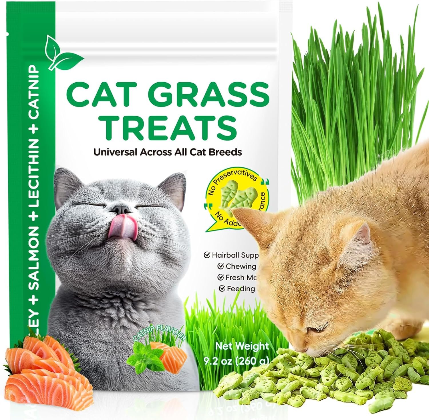 ISUNRISE 260g/9.2oz Cats Grass Treats with Catnip & Natural Salmon, Healthy Cat Treats for Indoor Cats Hairball Control & Teeth Cleaning, Kitten Training Biscuits Snacks