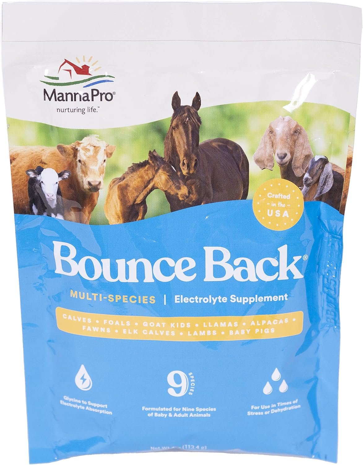 Manna Pro Bounce Back Supplement | Multi-Species Electrolyte | 4 oz