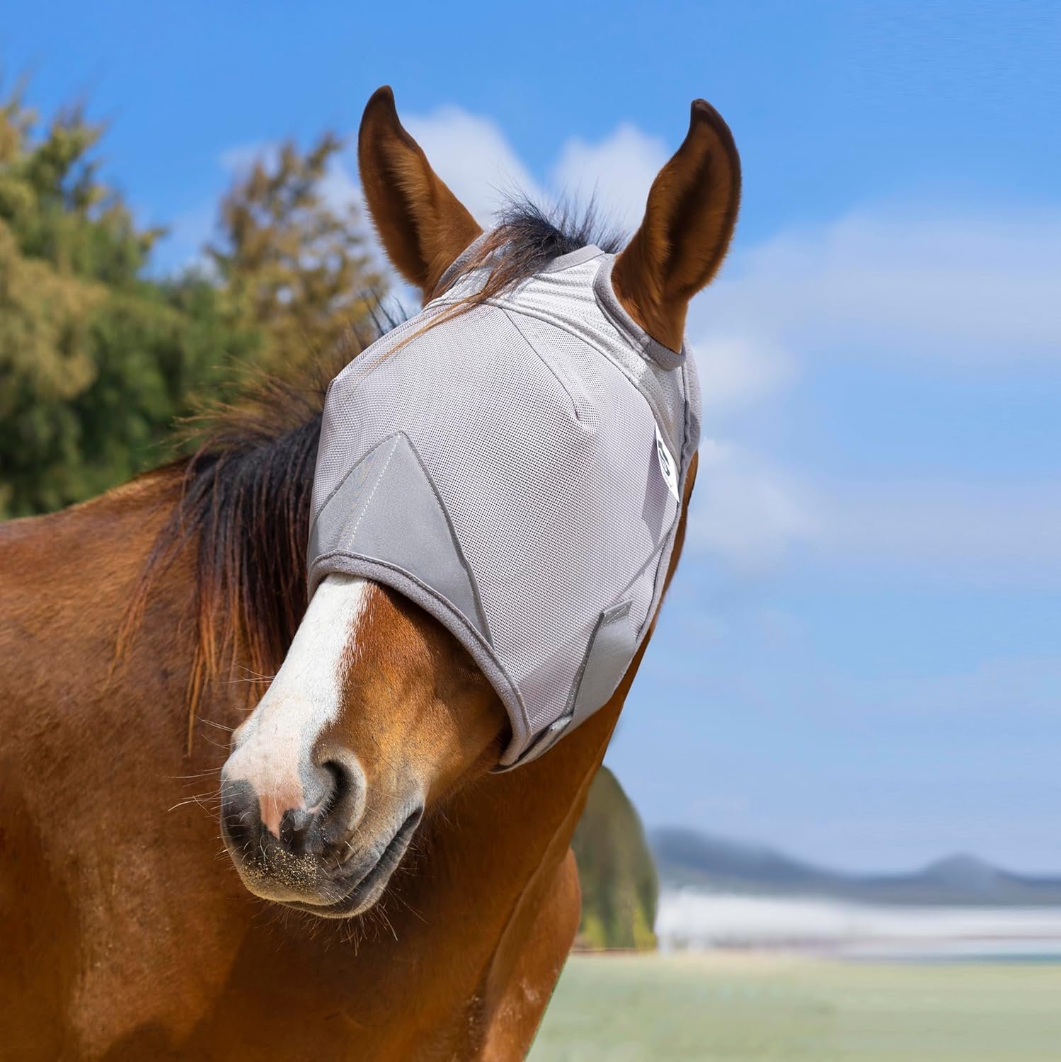 Raelitego Horse Fly Mask, Adjustable Fly Masks for Horses Without Ears, UV Protection from Insect Pests Comfort Mesh Without Nose Average Size Horses Accessories (L)