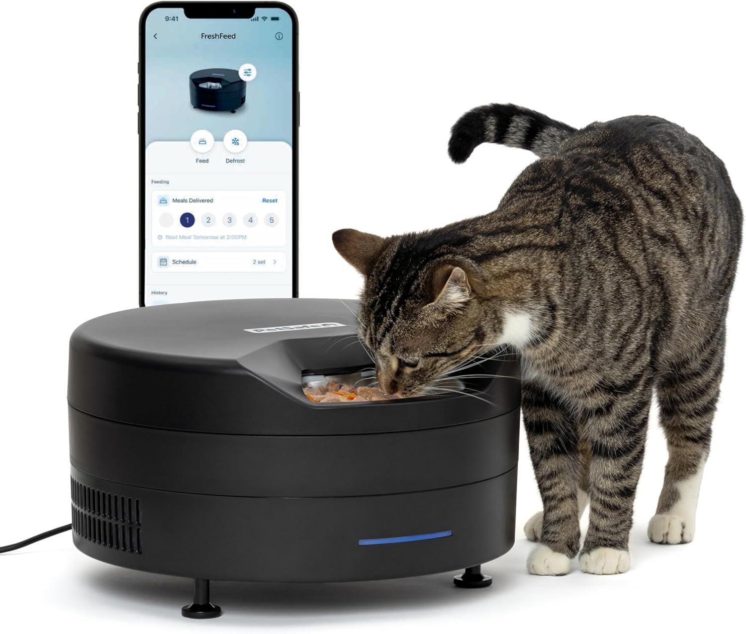 PetSafe FreshFeed Refrigerated Pet Feeder Automatic Wet Food Feeder for Cats & Small Dogs App Control 6 Fresh Meals Stainless Steel Inserts Black