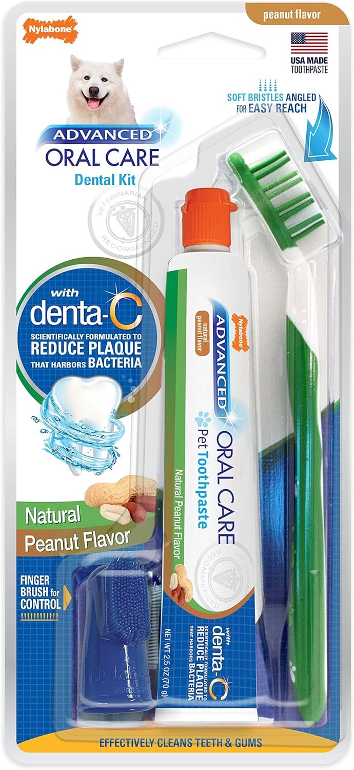 Nylabone Advanced Oral Care Natural Dog Dental Kit Peanut Flavor 2.5 oz.