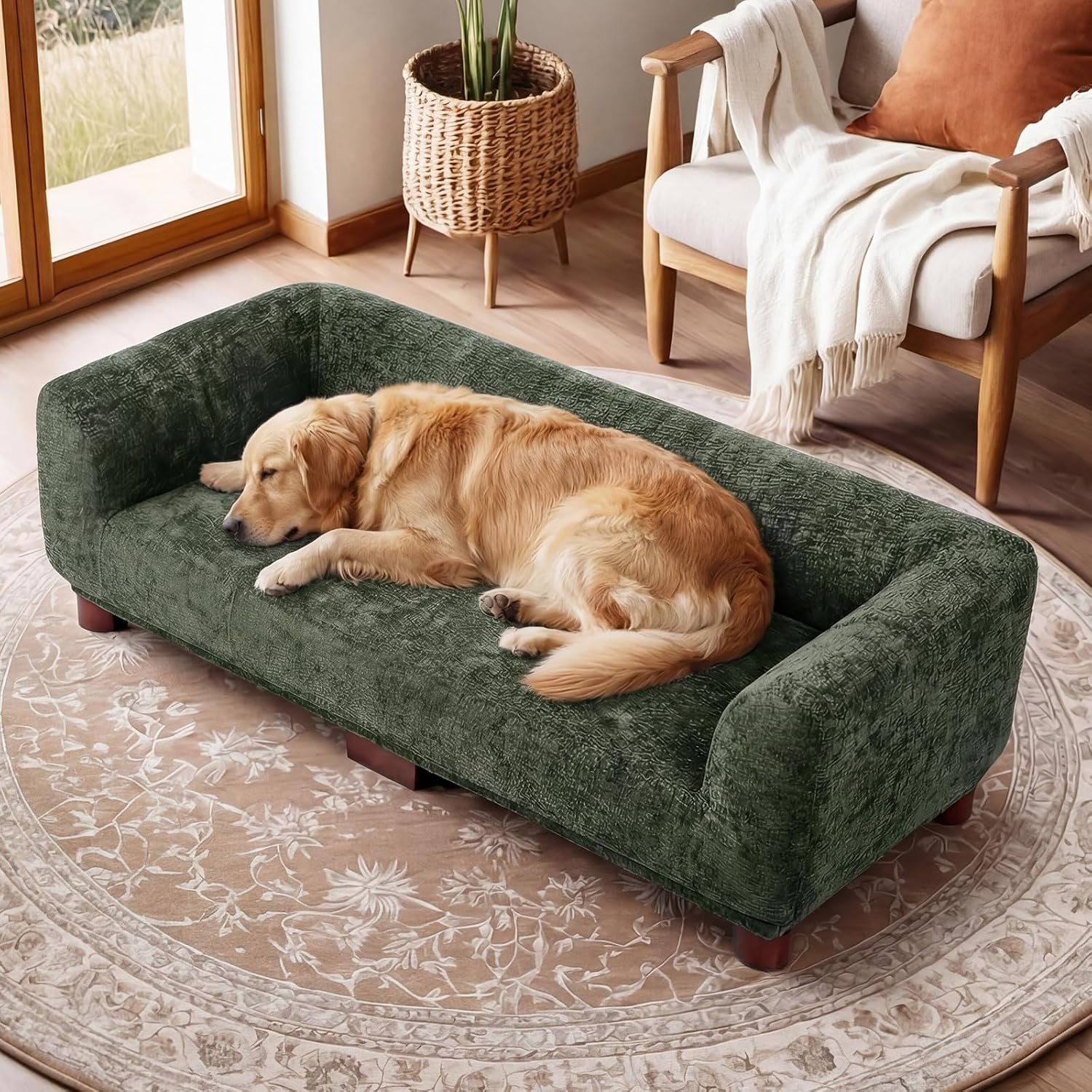 Dog Couch Sofa for Large & Extra Large Dogs, Elevated Pet Bed with Legs, Button Tufted Chenille Dog Couch with Backrest and Armrests, Modern Indoor Dog Furniture(Green, XXL – 55″ x 28″ x 15″)