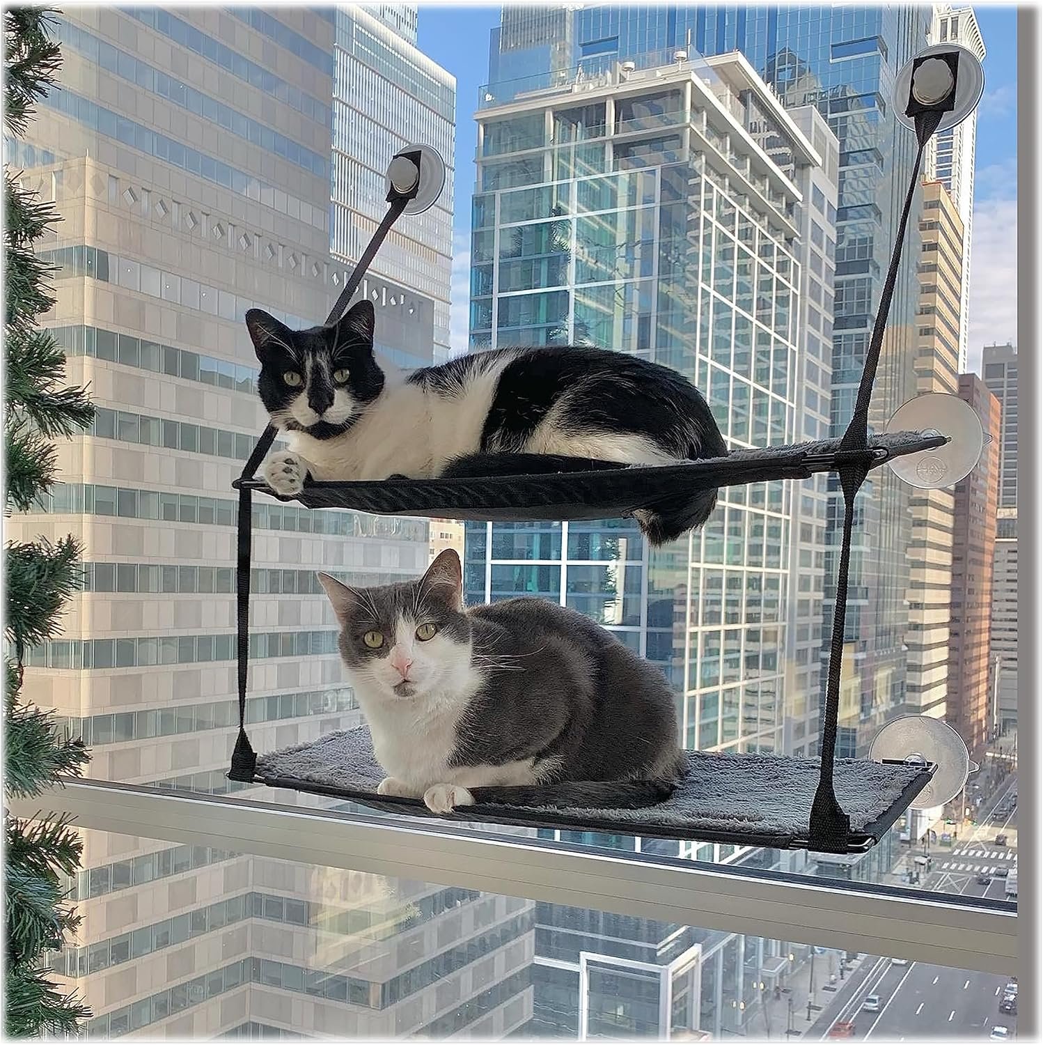K&H Pet Products EZ Mount Double Stack Cat Window Perch for Large Cats, Sturdy Window Hammock Bed, Steel Frame, Sturdy Suction Cups, 2 Washable Shelf Covers, Foldable – Fits 27″W X 31″H Glass Spaces