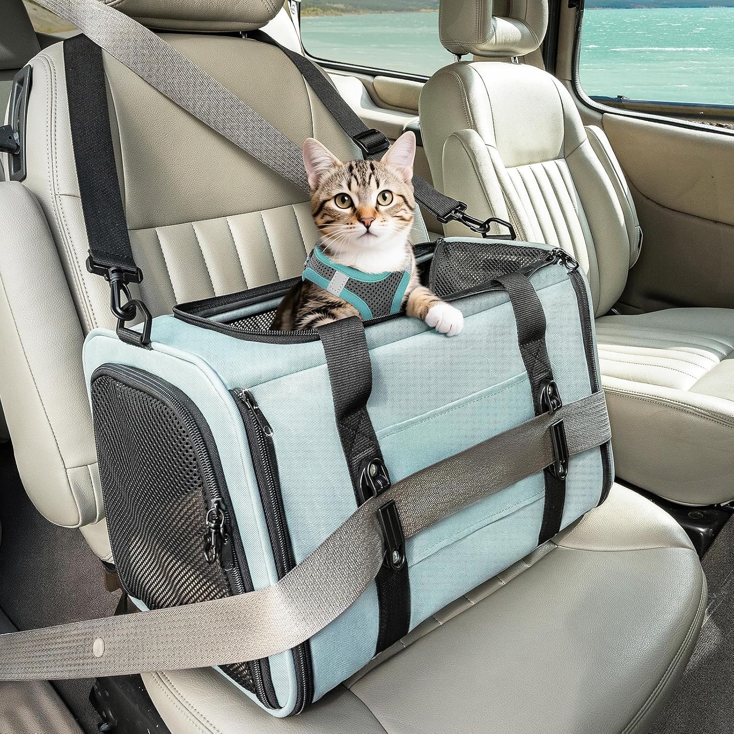 PETSFIT Soft-Sided Cat Carrier with Patented Safety Buckles, Lockable Zippers & Safety Tether,Escape-Resistant Travel Pet Carrier for Car Rides & Vet Visits, Airline Approved Under-Seat, Up to 12 lbs