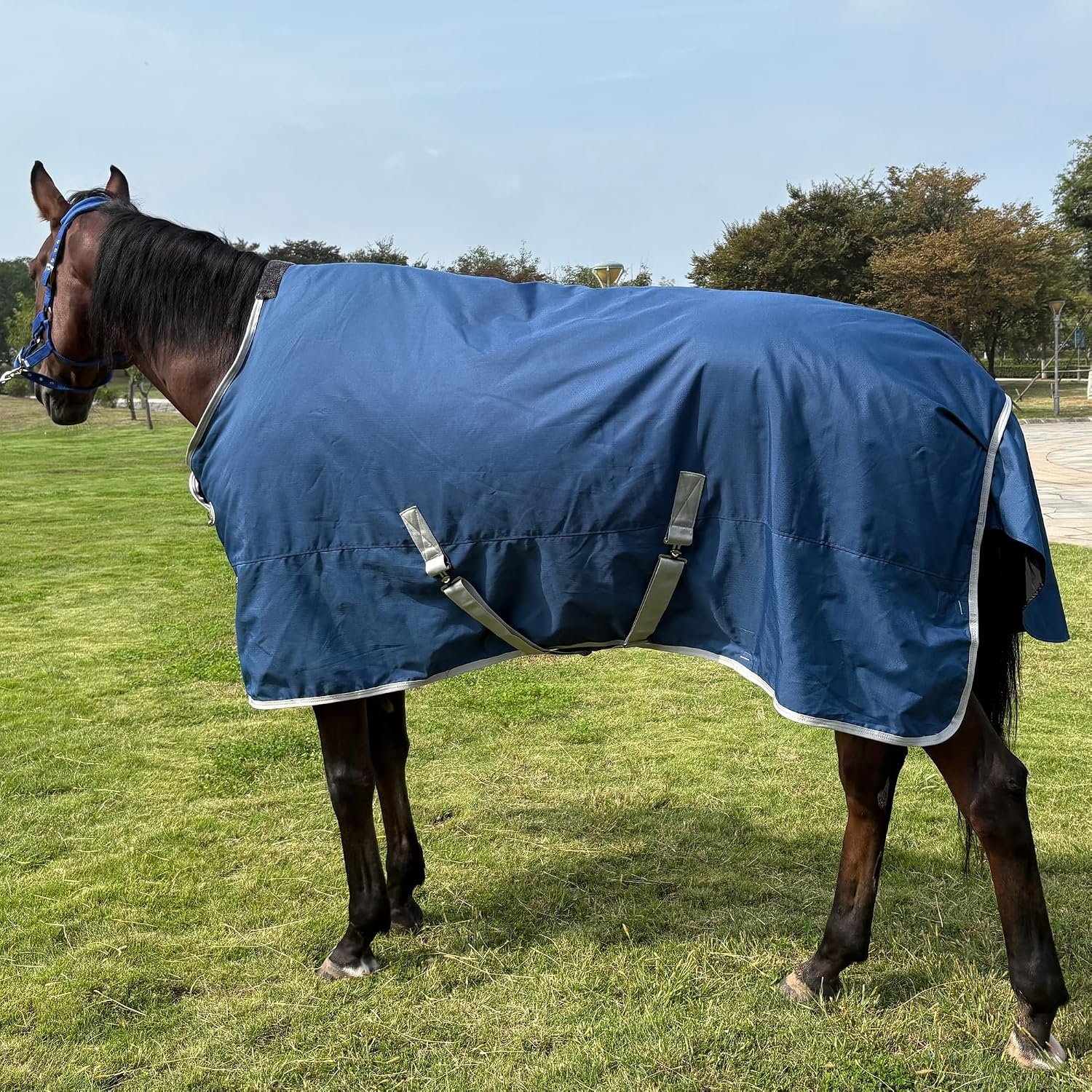 1200D Water-Resistant Winter Horse Trunout Blankets,Medium Weight Poly Sheets (US 81 inch/EU 155 cm)