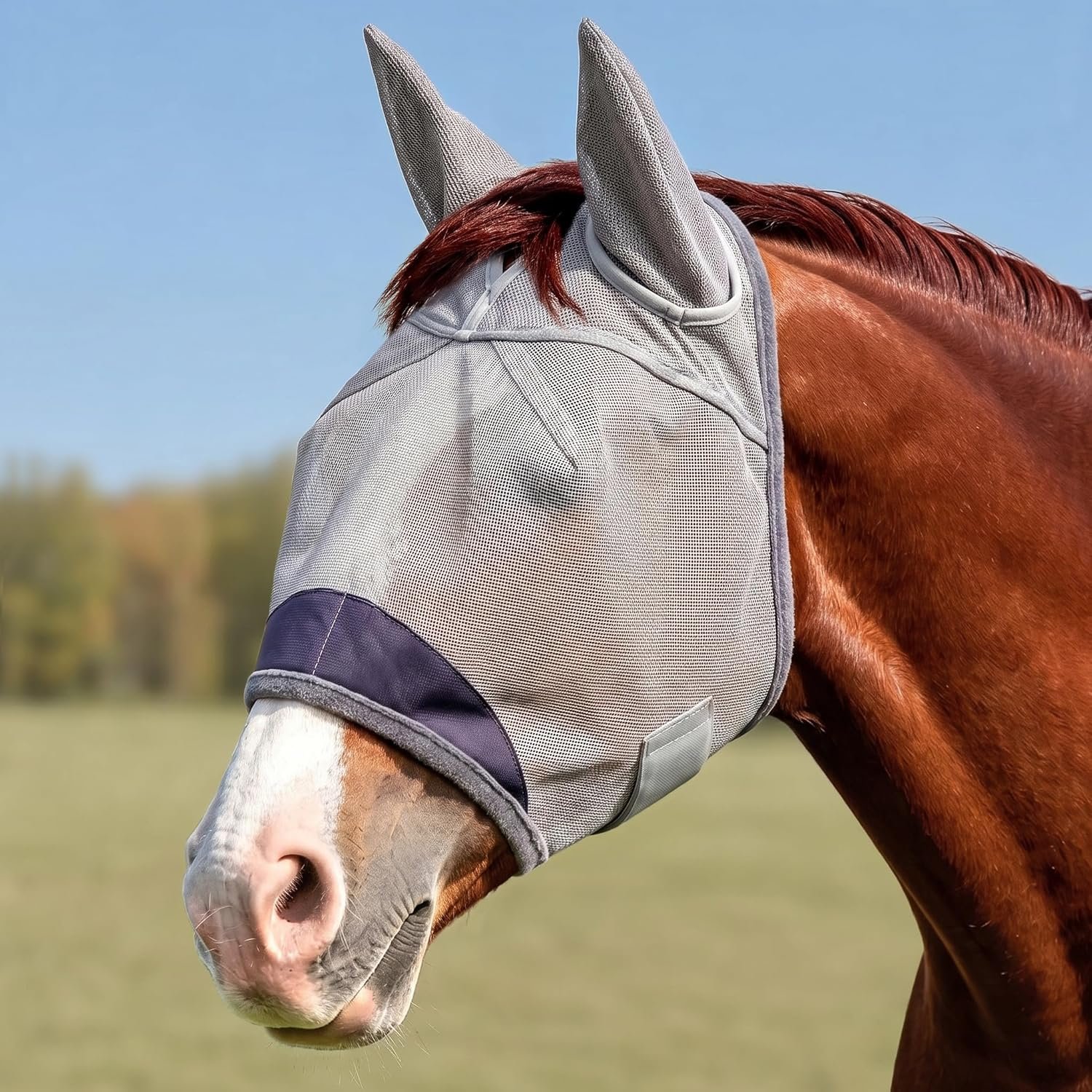 Horse Fly Mask with Ears – UV Protection Fine Mesh Super Comfort Fly Masks for Horses, Adjustable Breathability Horses Masks, Pony Equine Fly Mask for Miniature Foal Draft Cob Srabian Full (Gray, L)